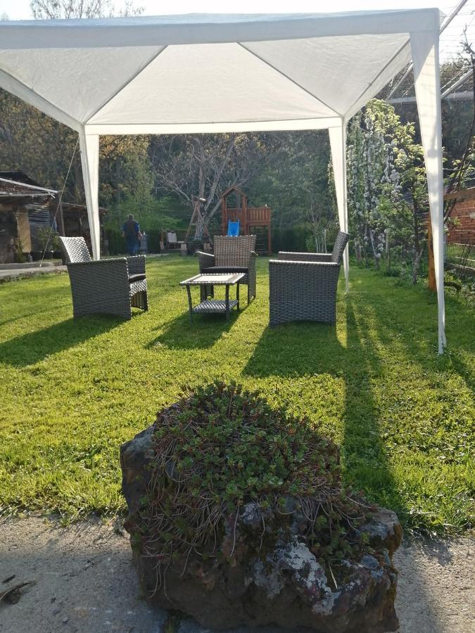 Domacinstvo Trifunovic Apartment Pretresnja Exterior photo