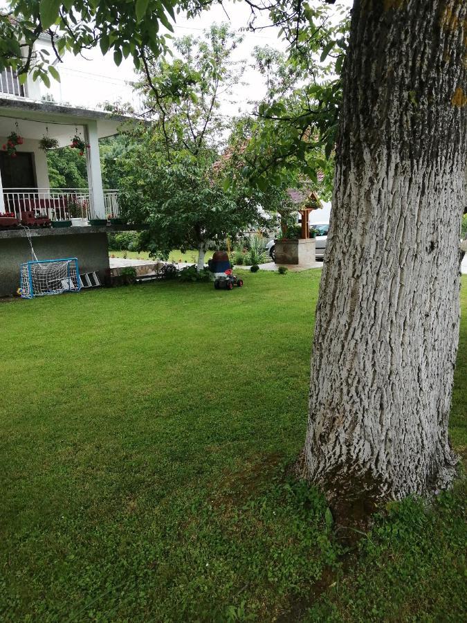 Domacinstvo Trifunovic Apartment Pretresnja Exterior photo