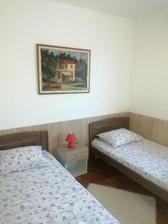 Domacinstvo Trifunovic Apartment Pretresnja Exterior photo